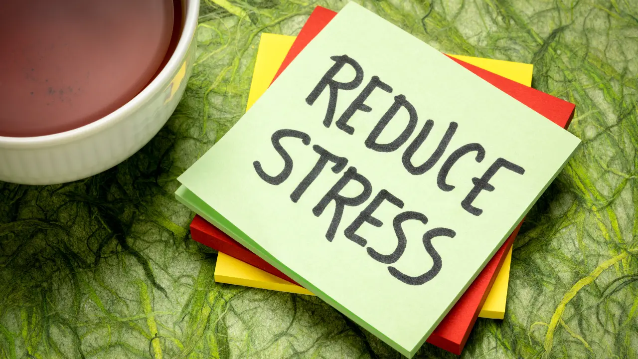 stress